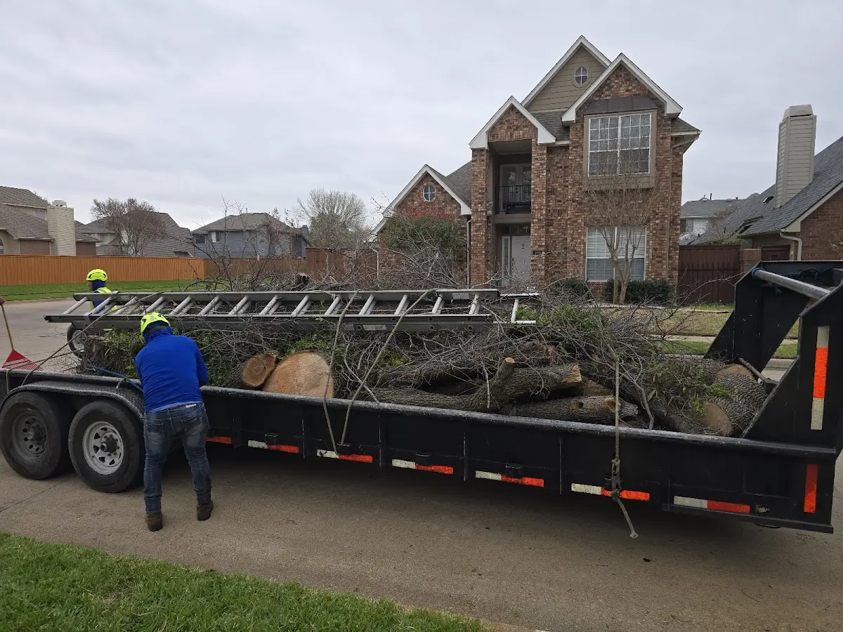 Expert Lot Clearing with proper safety equipment in Alma
